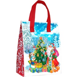 Подарок Сумочка «Мечты сбываются» ДС 13445